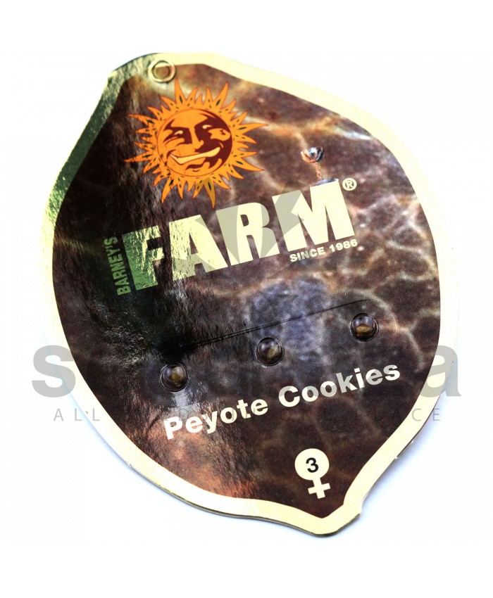 Peyote Cookies Feminised
